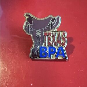 Texas BPA 2000 Pin